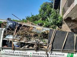 Professional Junk Removal Services in Medina, OH